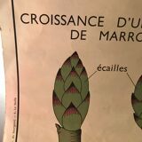 Nightingale educational poster