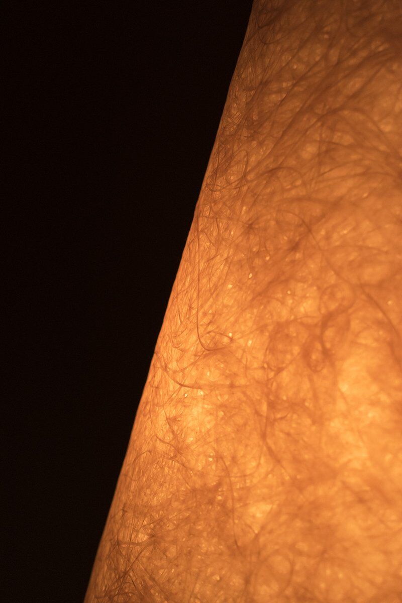Organically Shaped Floor Lamp