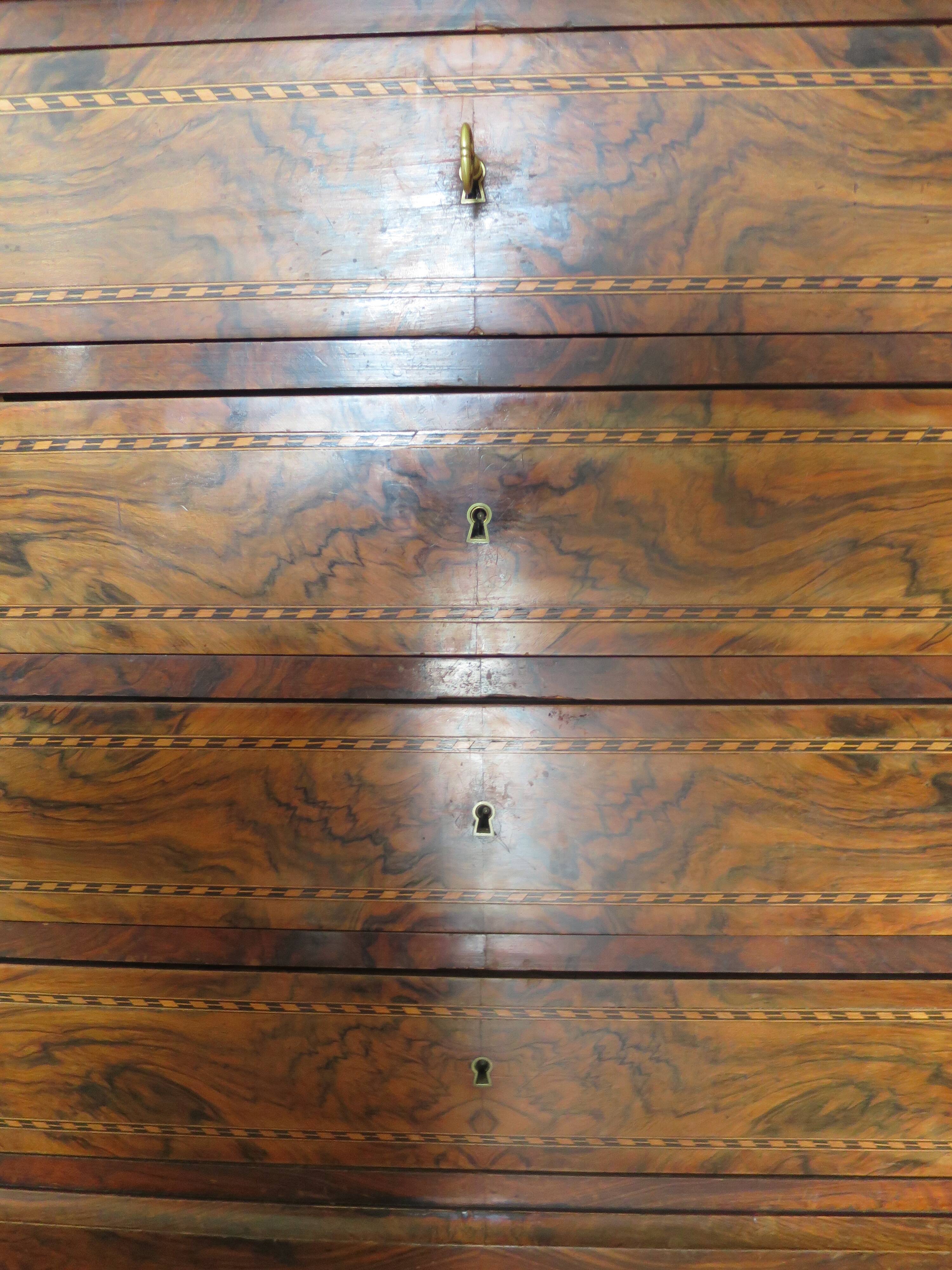 Antique oak burr chest of drawers - 4 drawers - marquetry inlay from the early 21st century