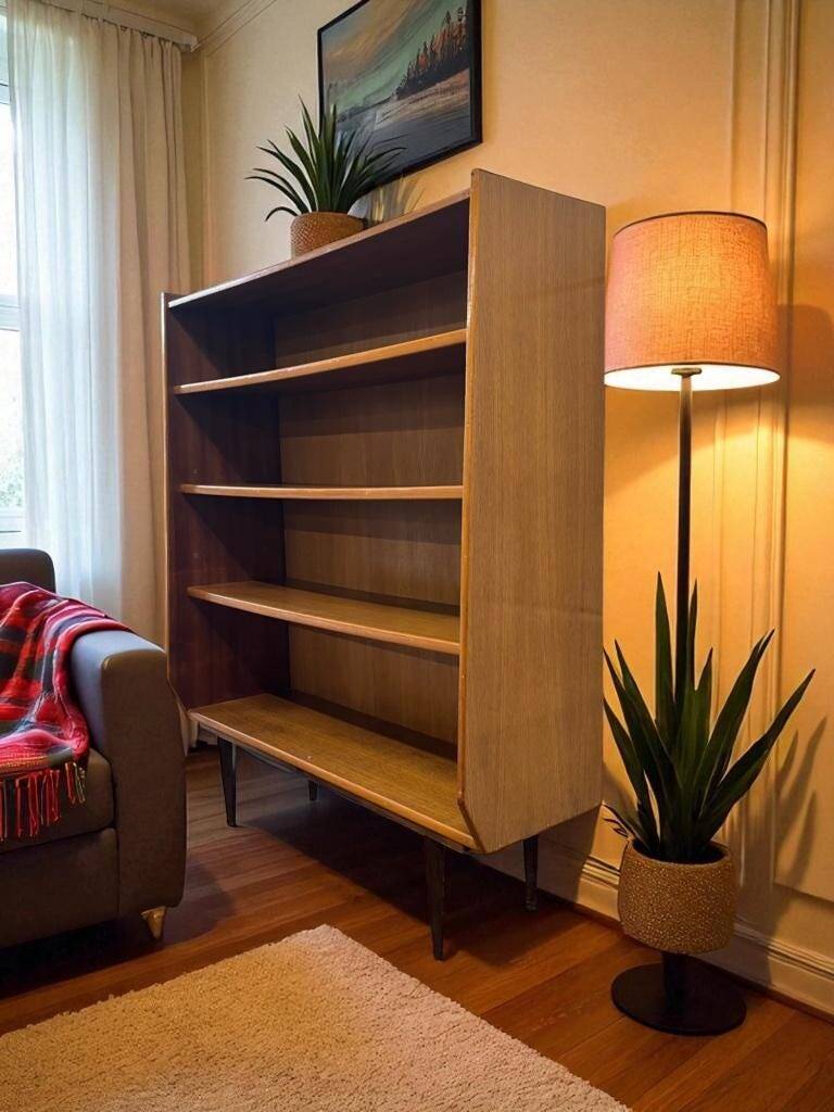 Vintage cabinet / bookcase / shelf