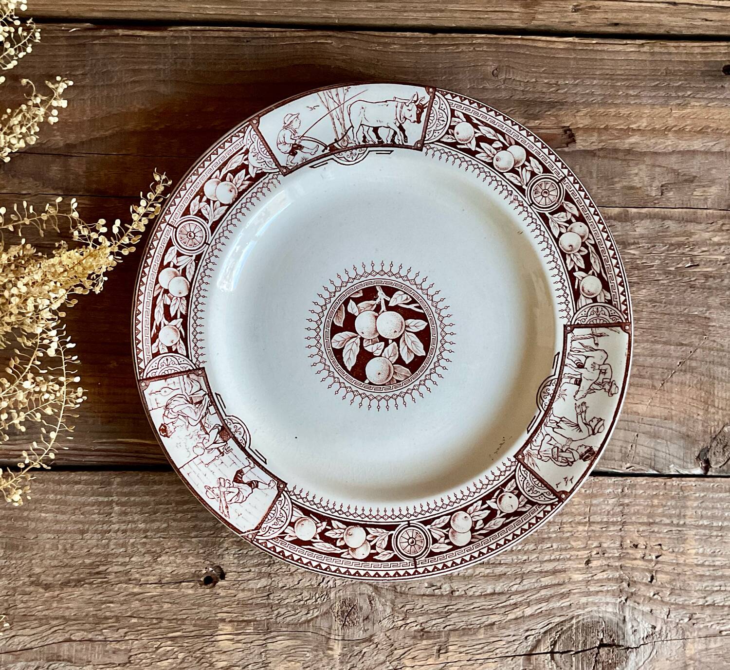 6 BROWNFIELD & SONS “Chelsea” England plates