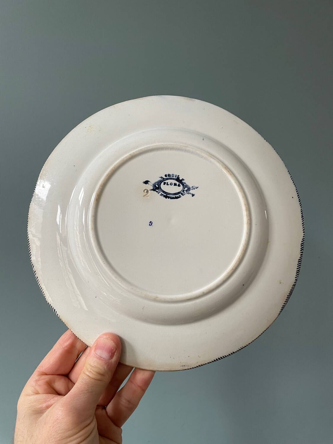 Series of 9 Creil Montereau plates, Flora model