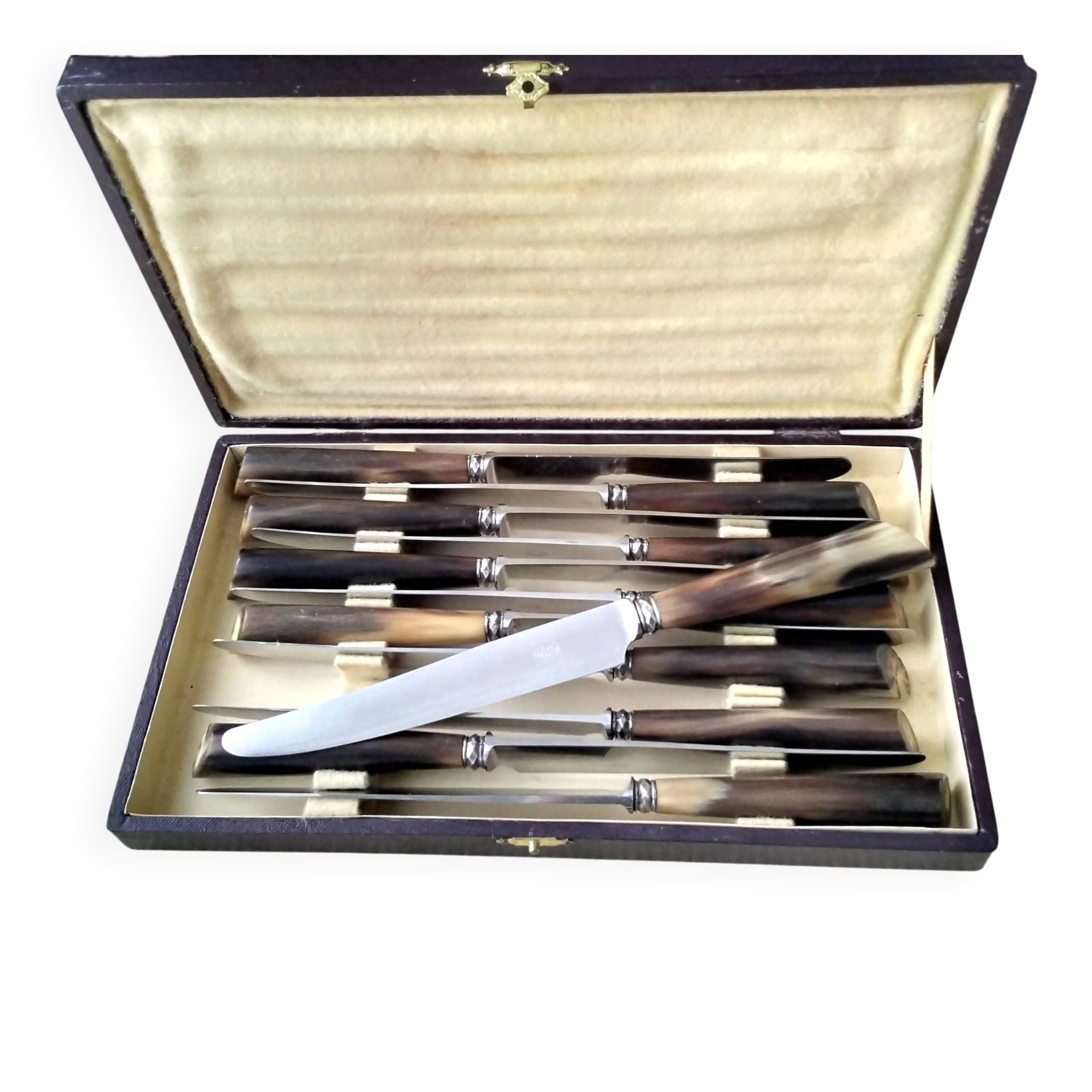Box of 12 table knives with horn handles, silver-plated metal and stainless steel.