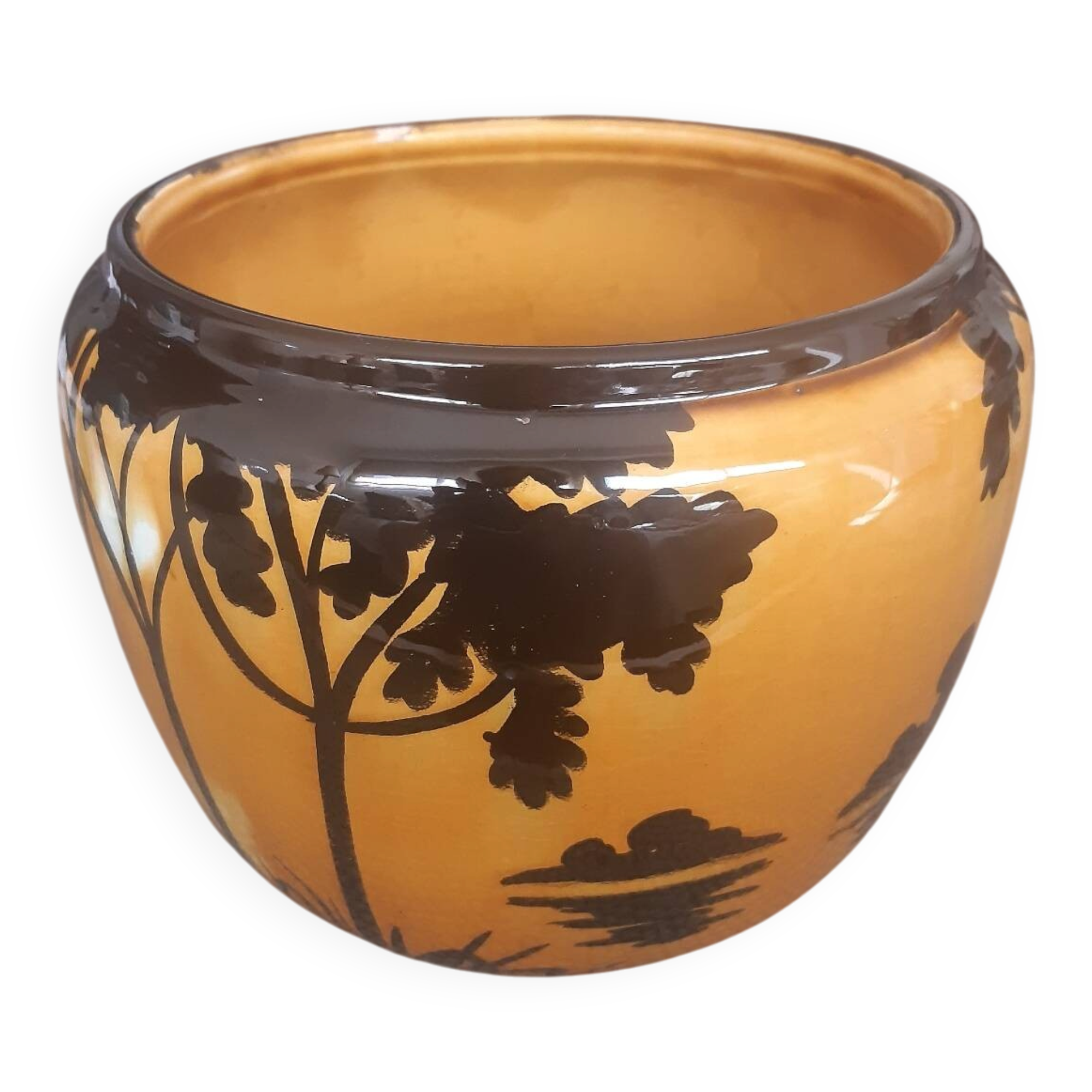 Orchies plant pot