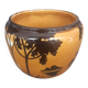 Orchies plant pot
