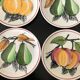 6 dessert plates fruit earthenware from Gien Cordon Rouge