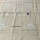 New embroidered linen tablecloth HS with 8 napkins.