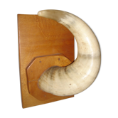 Horn cow zebu on wooden base