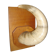 Corne de vache zébu sur socle de bois