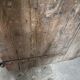Old larch door