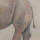 Painted canvas, Rhinoceros, Contemporary work