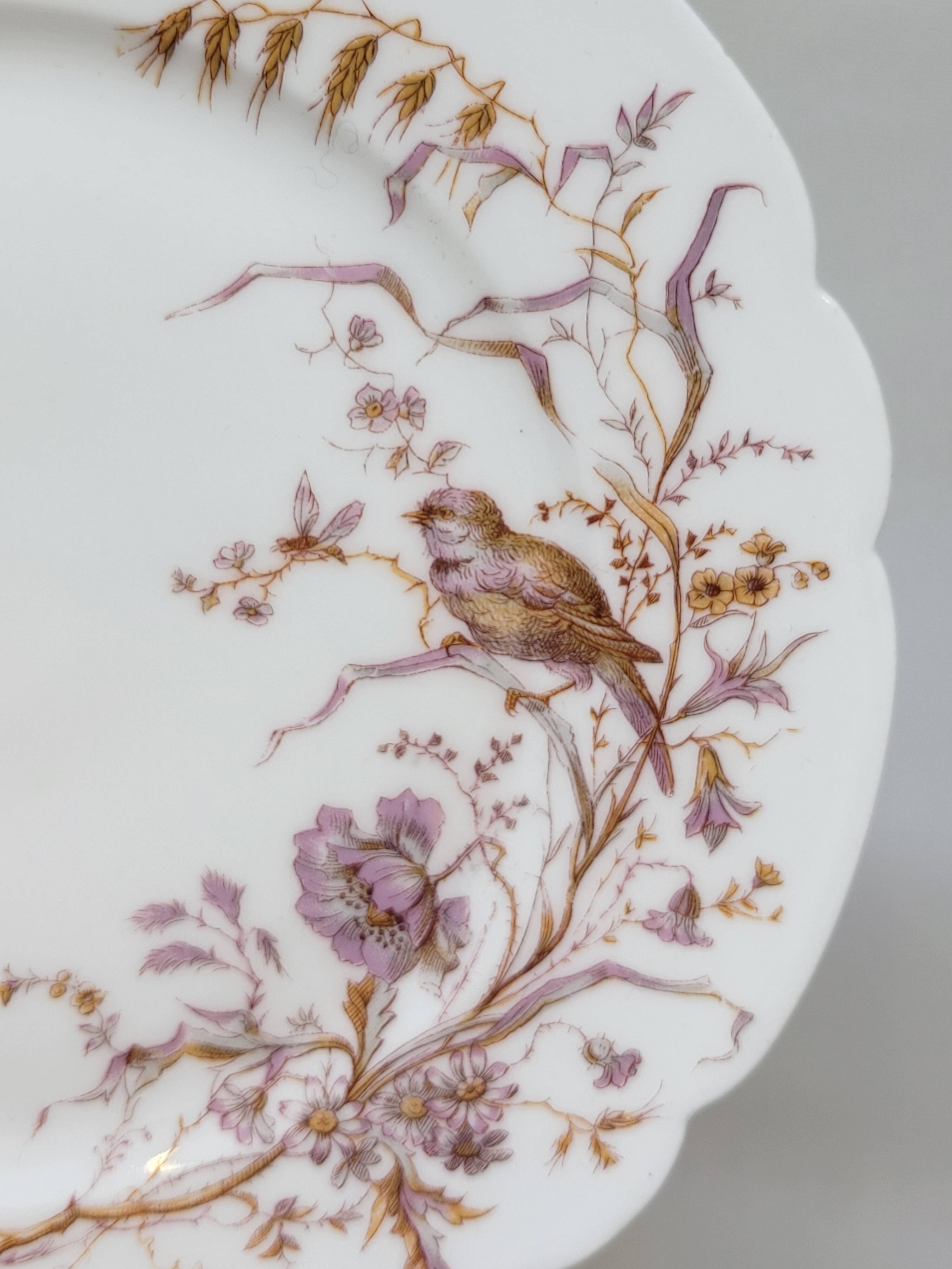 8 Superb Antique 19th Century Plates Decorated with Birds on Branches