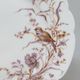 8 Superb Antique 19th Century Plates Decorated with Birds on Branches