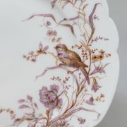 8 Superbes Assiettes Anciennes XIXème Décor Aux Oiseaux Sur Des Branches