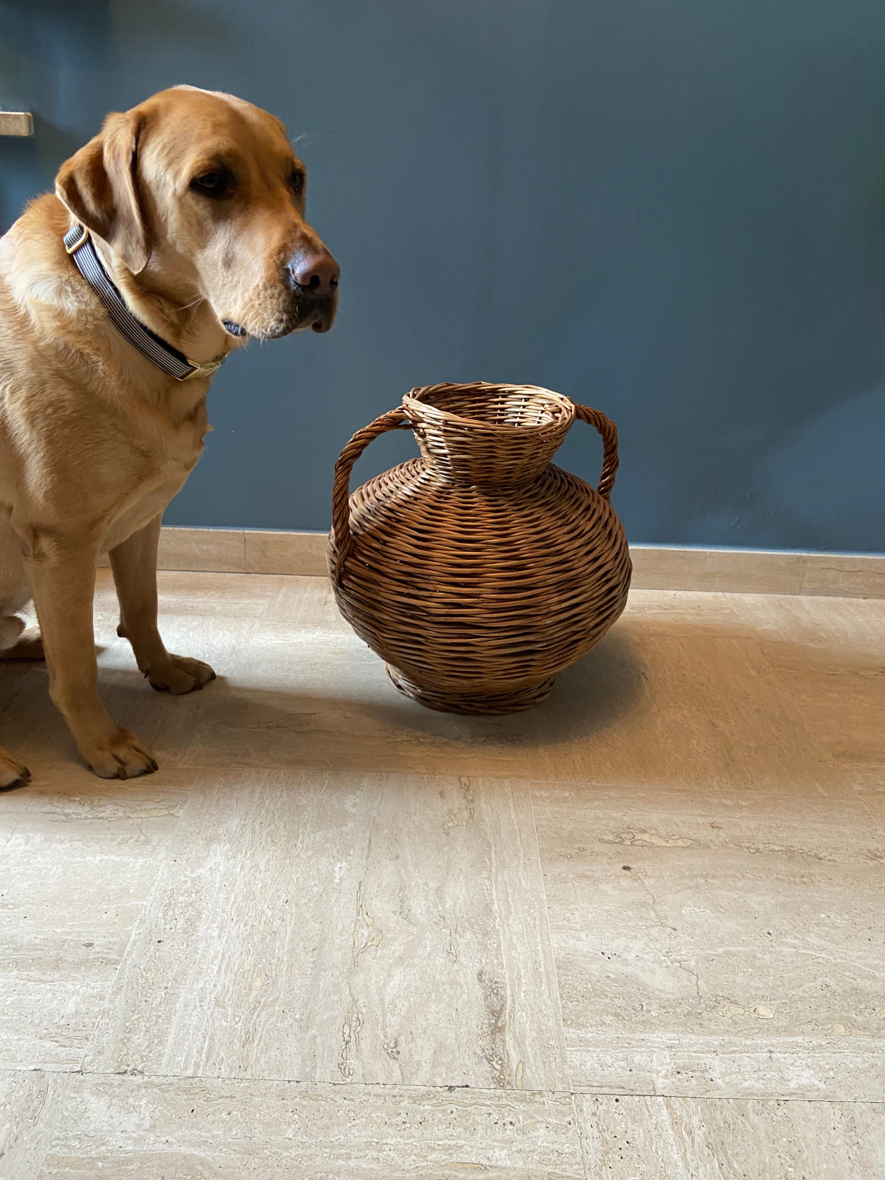 Vase panier en rotin
