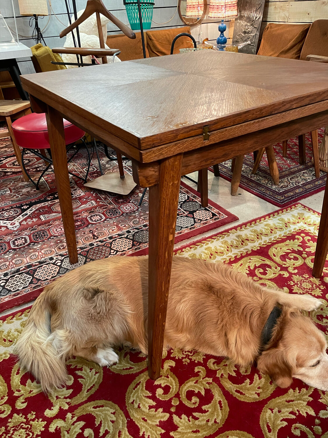 Vintage square portfolio table ep 50/60