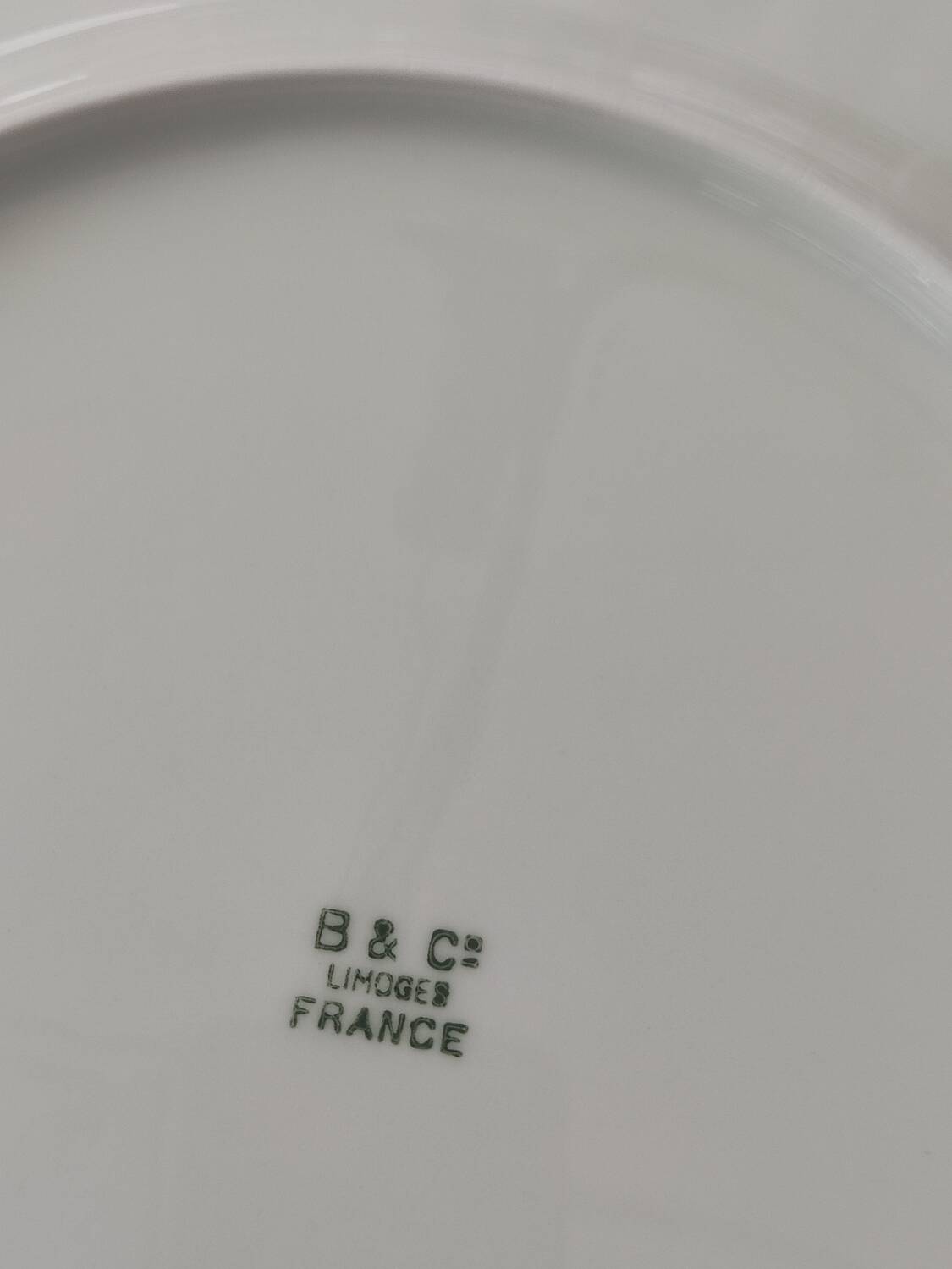 Ten Limoges porcelain plates B et Cie