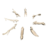 8 porte-couteaux mix d'animaux