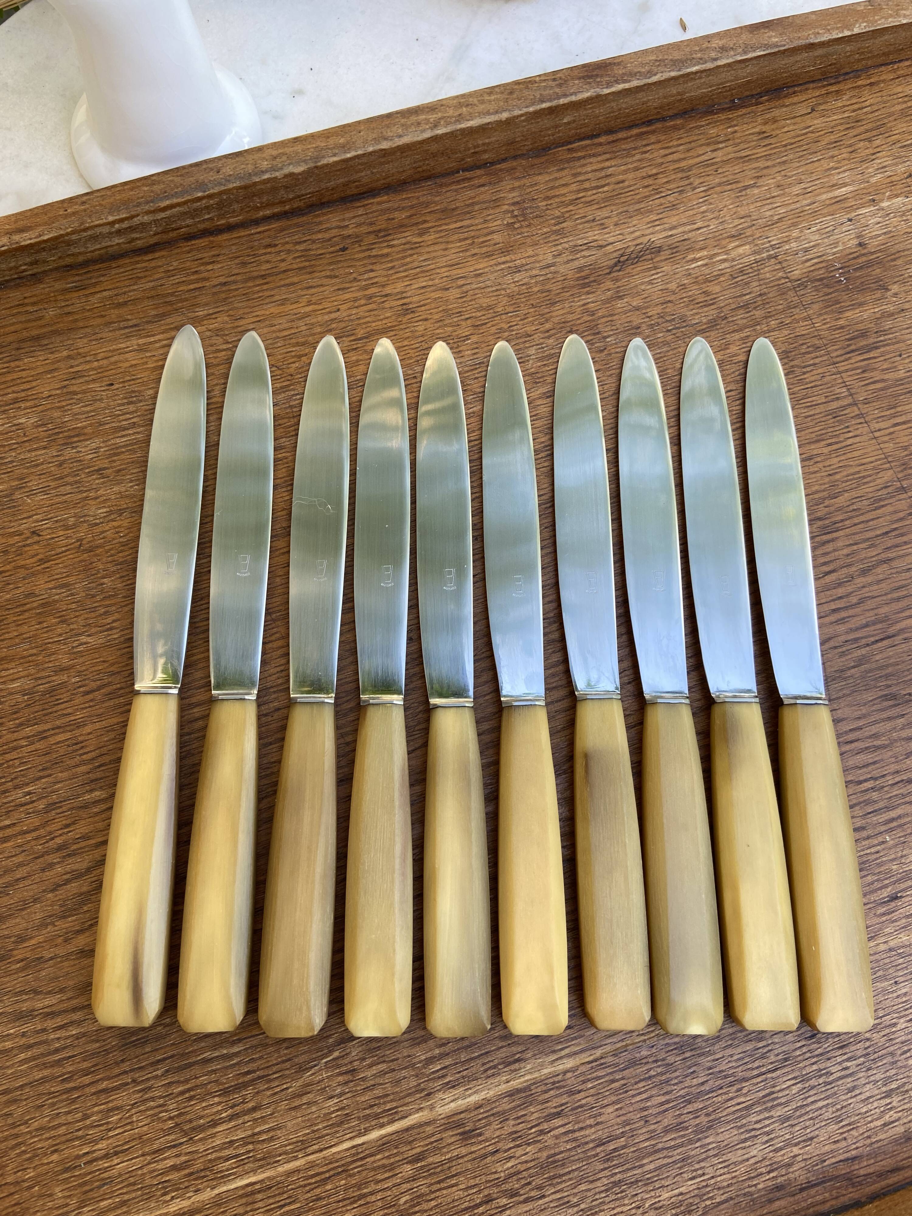 Set of 10 knives and 12 vintage horn knives