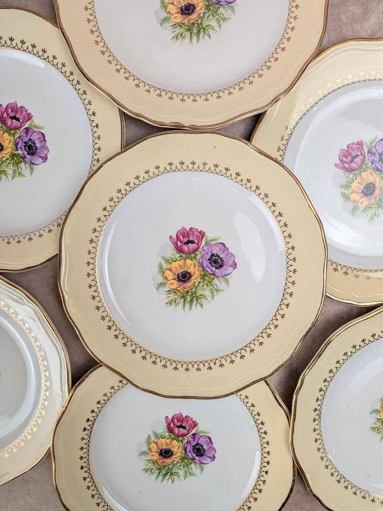 Set of 10 vintage dessert plates L’amandinoise Coopélia