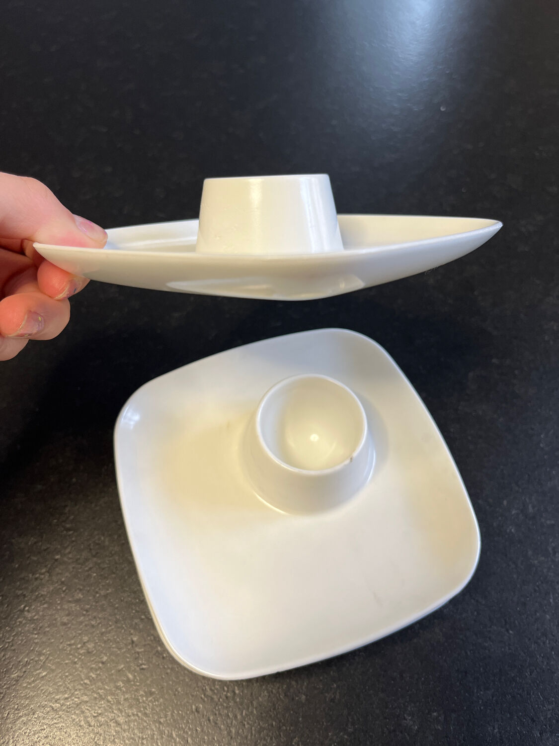 Space age cockroaches