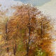 Autumn Flower Meadow, Ukraine, oil on canvas, signed