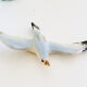 Seagull, wall decoration, vintage ceramic
