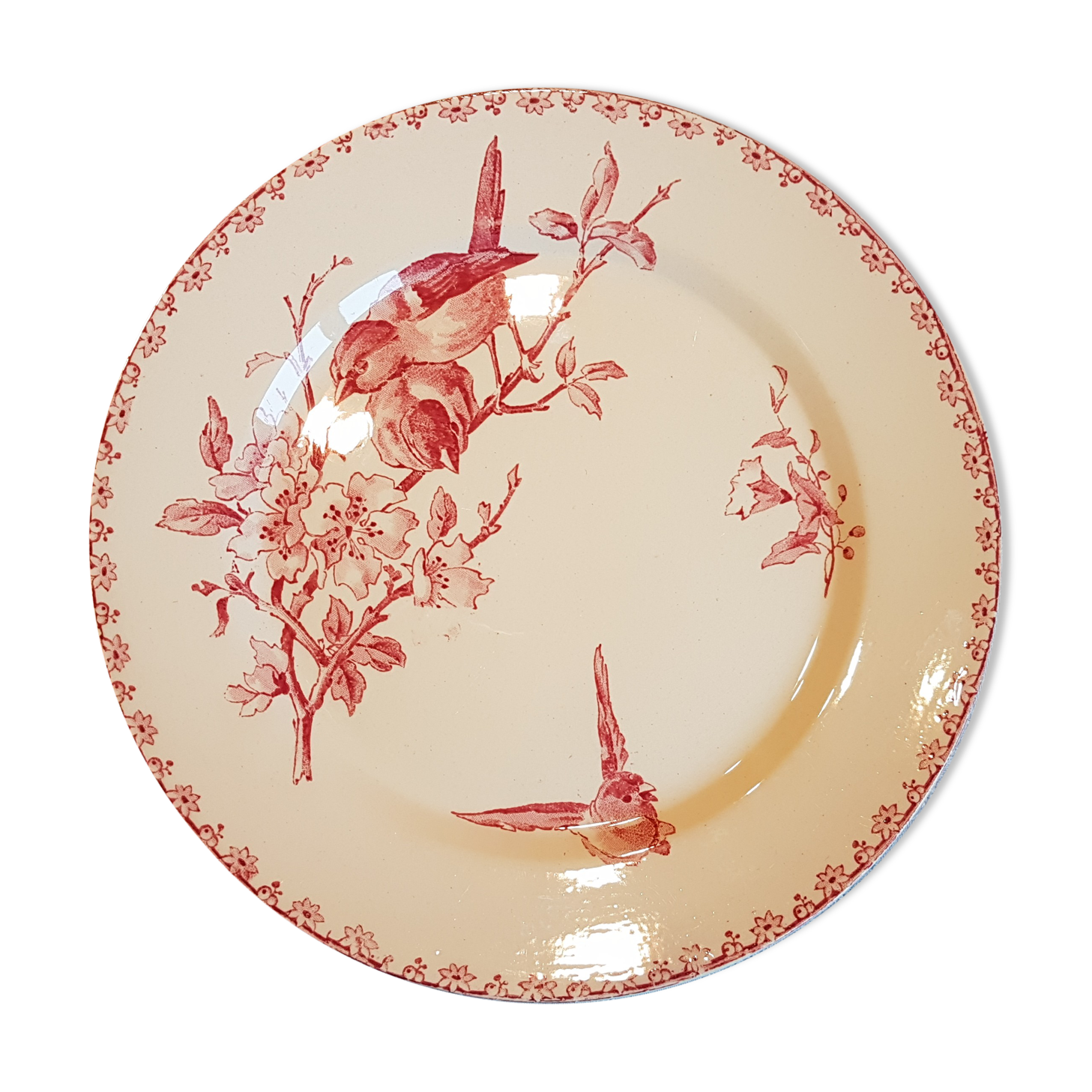 Plate with decoration of flowers and birds