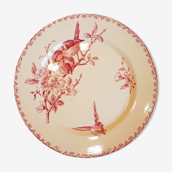 Plate with decoration of flowers and birds