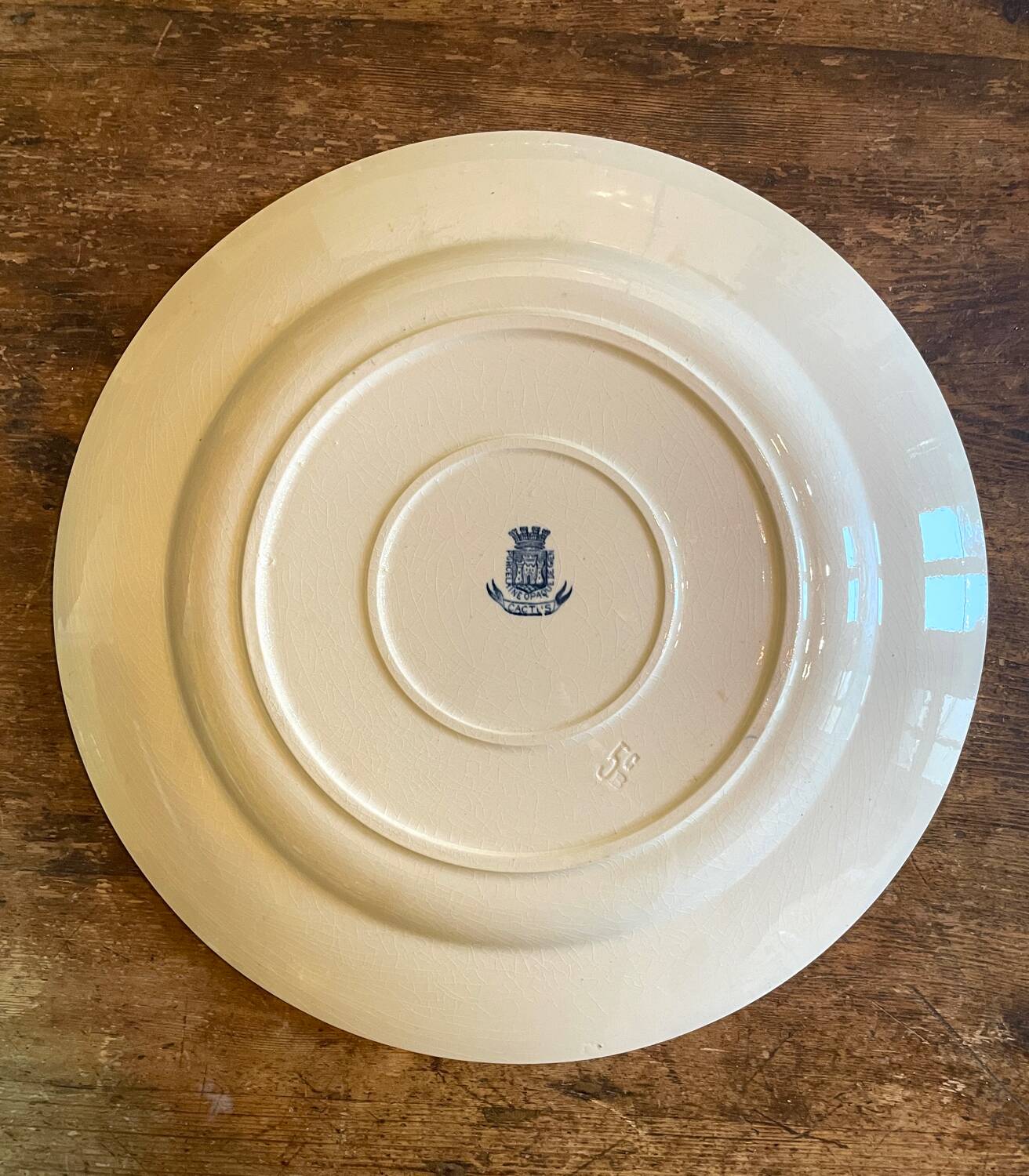 Large Terre de Fer “Cactus” Gien dish