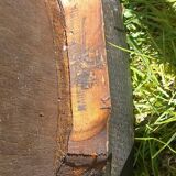 Pair of Thonet bistro chairs