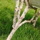 Banc de jardin avec pieds en fonte ancien