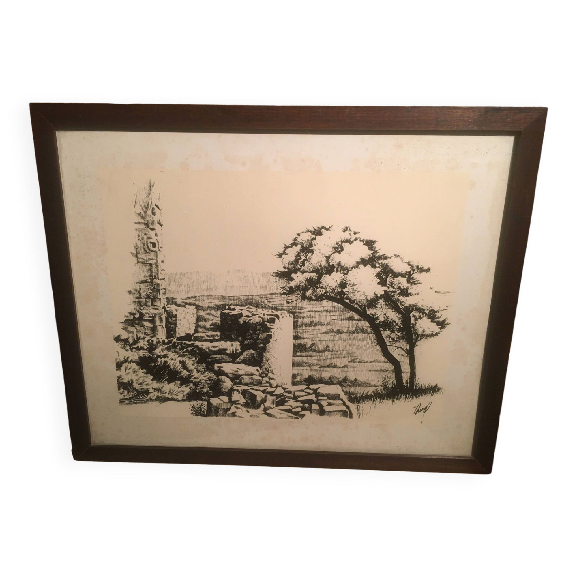 Illustration/signed paper print, framed, 60s/70s