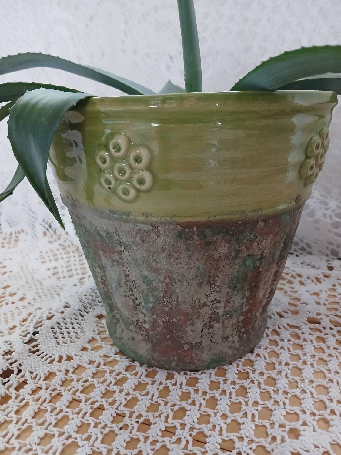 Pot / plant or flower in terracotta