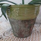 Pot / plant or flower in terracotta