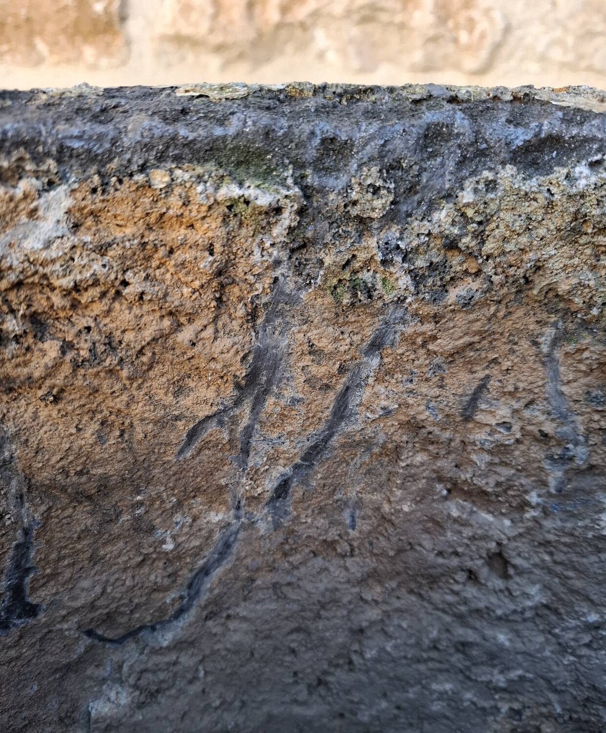 Cement planter 53 cm x H 45 cm