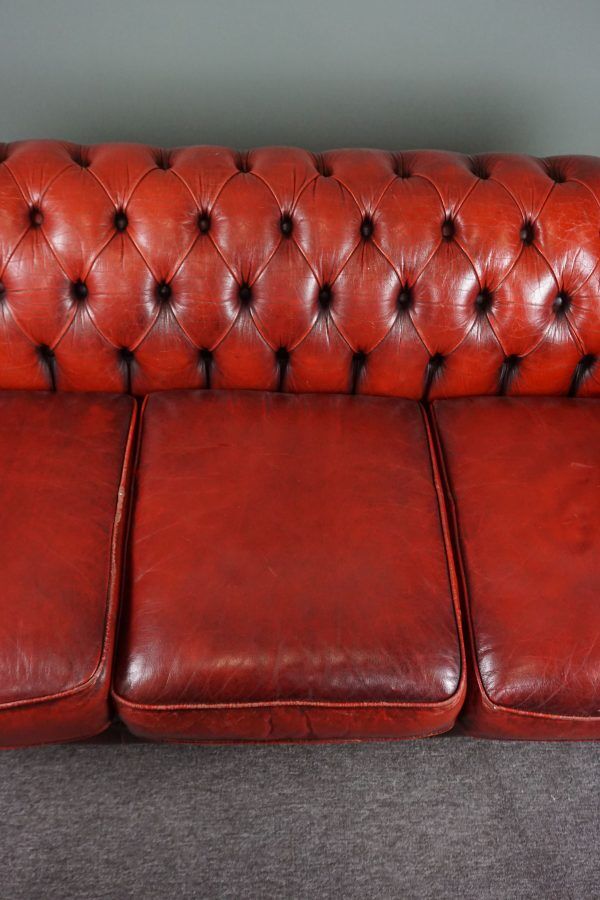Chesterfield sofa 3 places in cowhide leather