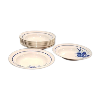 Set of 10 plates Badonviller model Roses