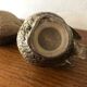 Salt and pepper shaker in silver metal, sparrows