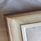 Frame montparnasse year 50 foliage