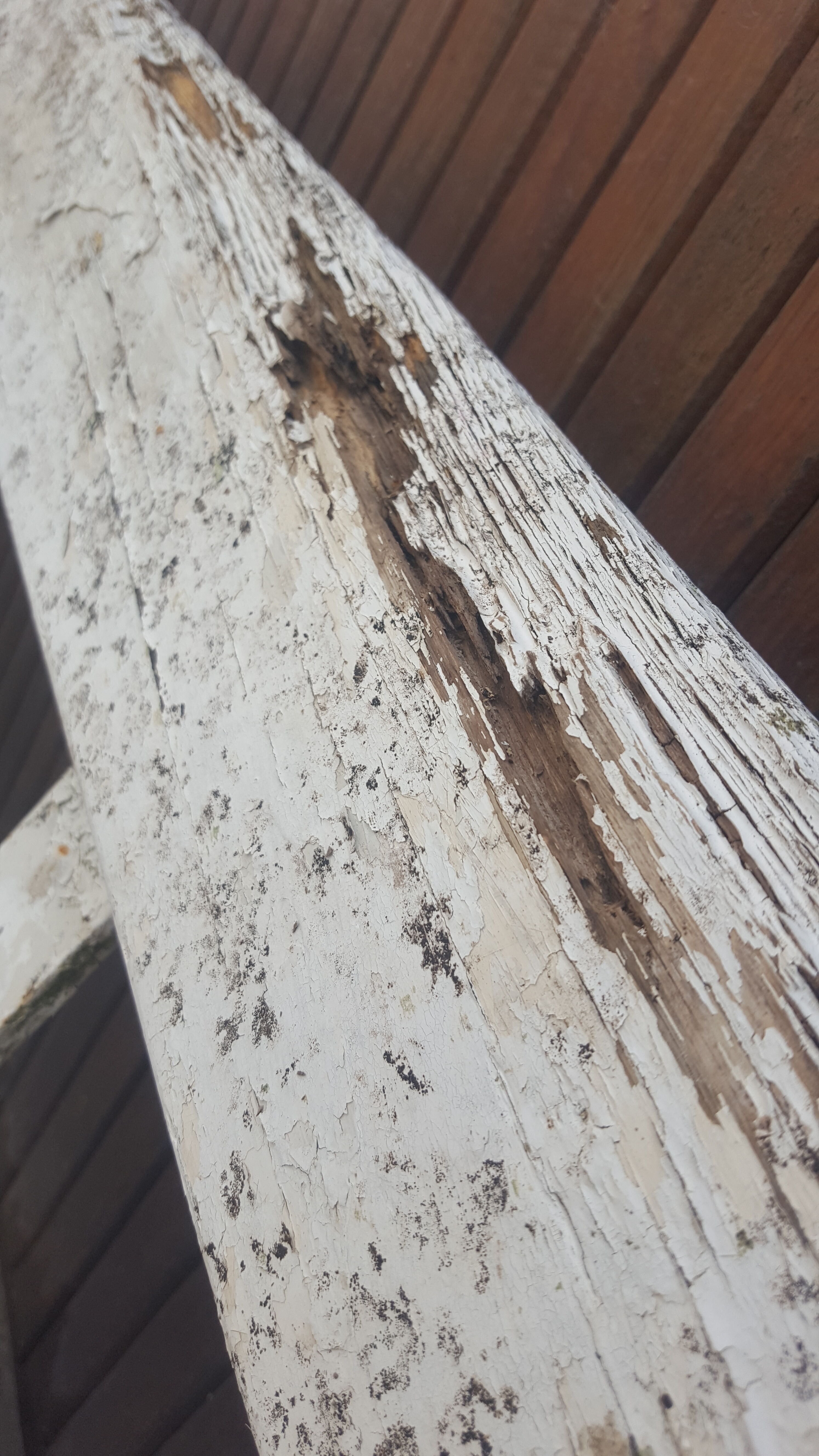 Old school bench white old patina