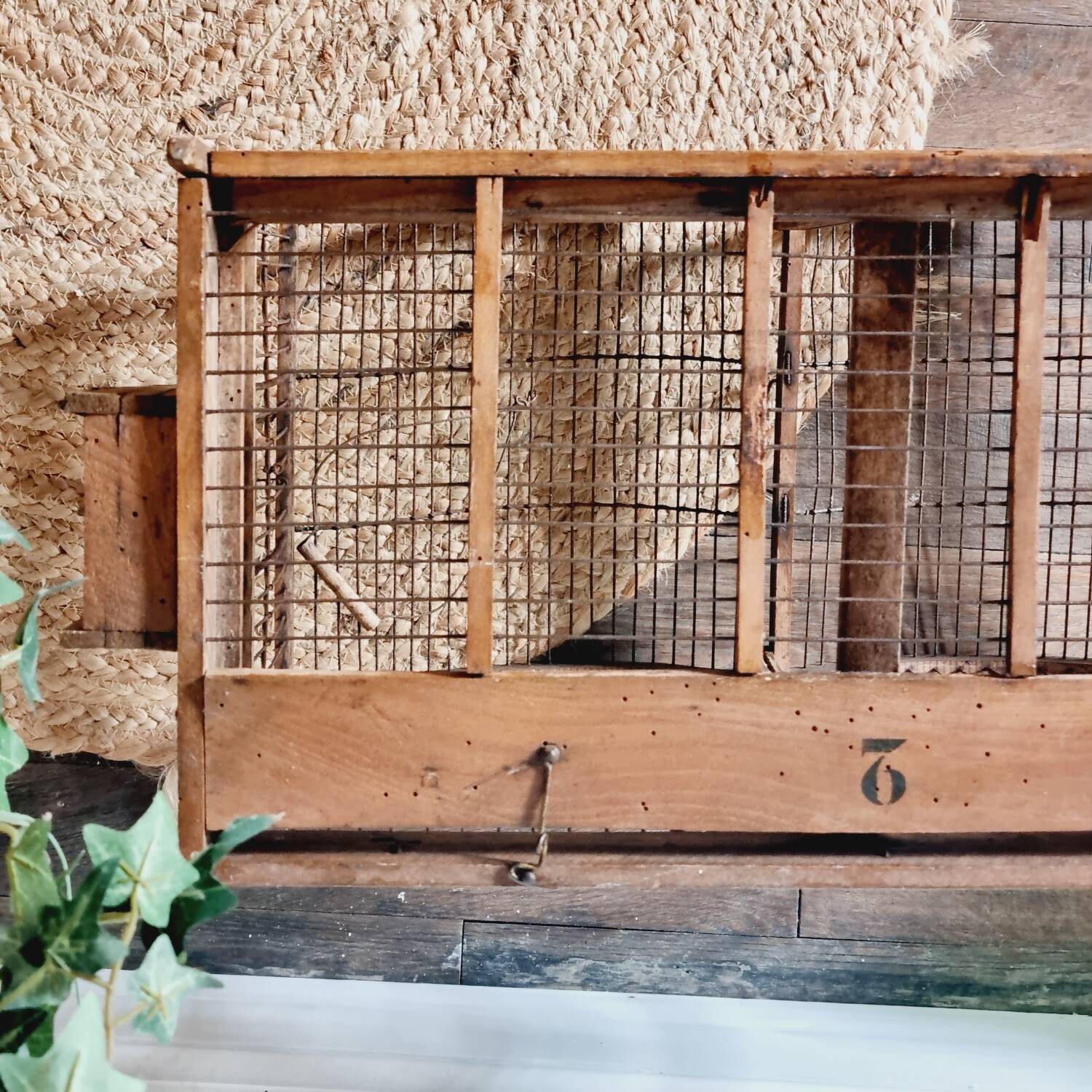 19th century bird cage in its original condition