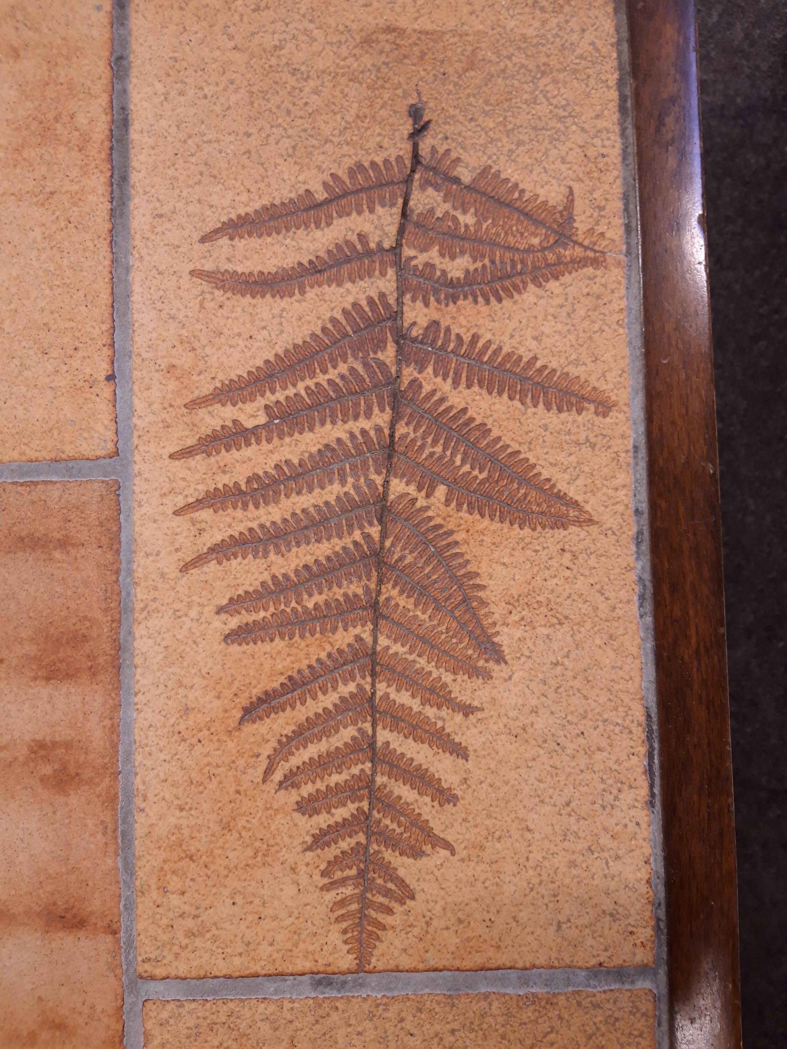 Coffee table Raymonde Leduc Model "Herbarium"