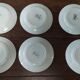 Set of six dessert plates in Saint Amand ironstone earthenware