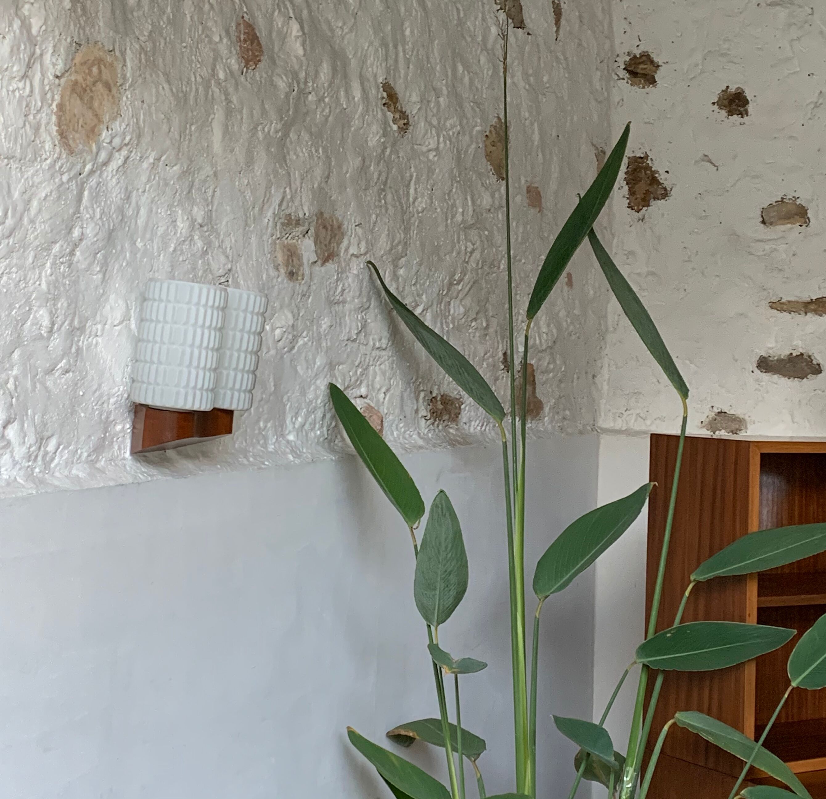 Scandinavian sconce