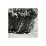 Limited edition art photo, numbered, dated and signed by the photographer