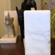 Alabaster bookends