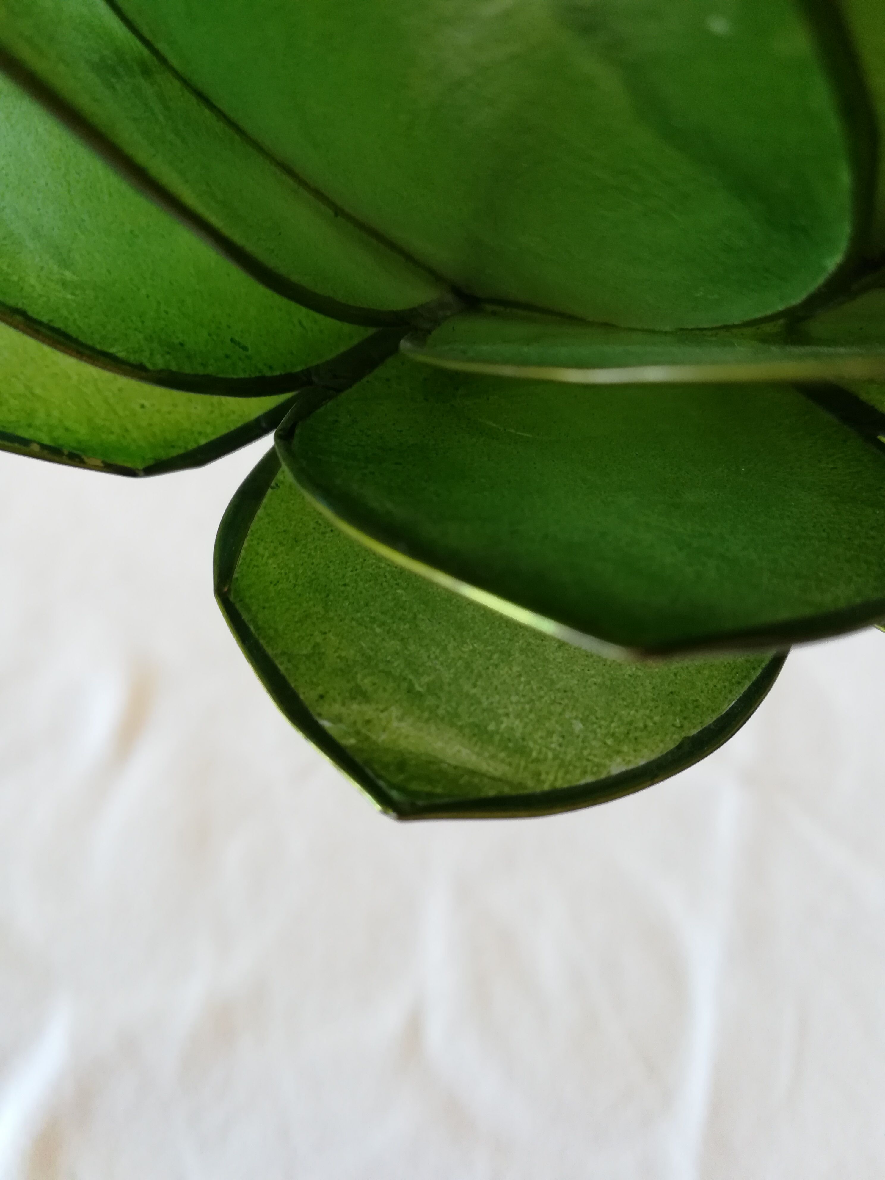 Photophore in mother-of-pearl