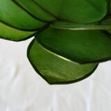 Photophore in mother-of-pearl