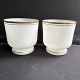 Paire de cache-pots – opaline de cristal - xixème
